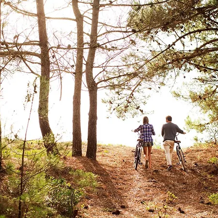 Memmo Baleeira - Design ساغريش