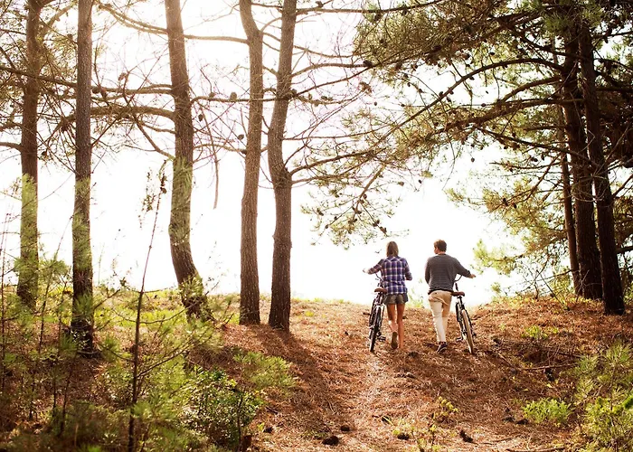 Memmo Baleeira - Design Sagres